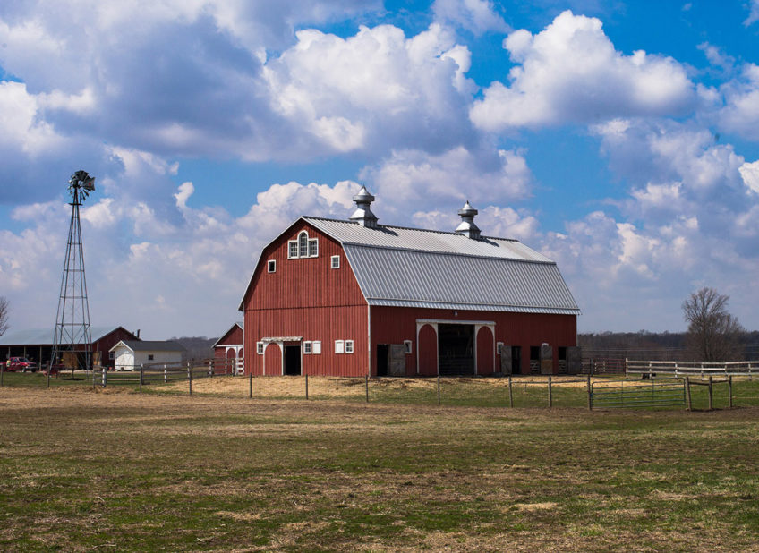 Farm Melissa Strban Grande Prairie Certified Professional Accountant